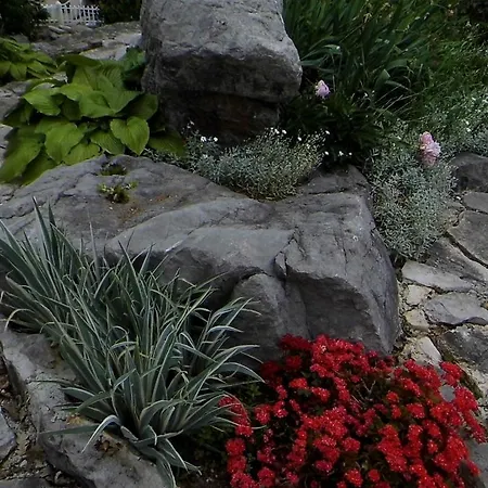 Eva Bed & Breakfast Ičići